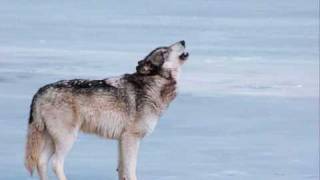 Watch Folkearth Wolfsong In Moonlight fenris Unbound video