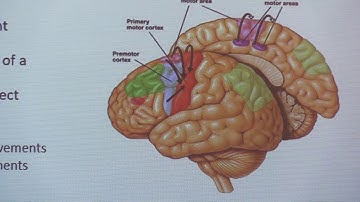 Cross-Frequency Coupling workshop  pt1 Introduction