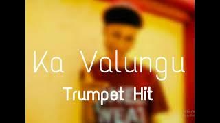 Ka_Valungu ft Dj_Nomza the King ( Trumpet )_Nanza SA