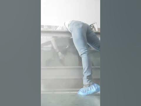 Бернский зиненхунд, реабилитация - YouTube