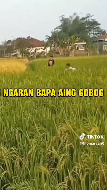Tinky Winky Dipsy Lala Yanto Wkwkwk 😂🤣@KeanuDanadyaksaF #Yanto