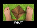 Minecraft wait what meme part 258 realistic minecraft steve