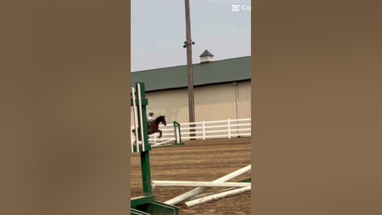 Jumping with rita from last july horse equestrian youtube