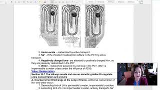 Week 13 Web Class
