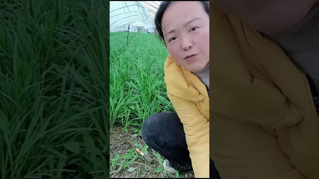 What's left when you pay off all humanity