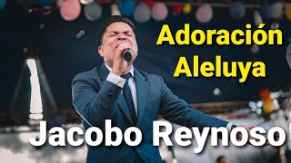Video thumbnail of "JACOBO REYNOSO / ALELUYA /"