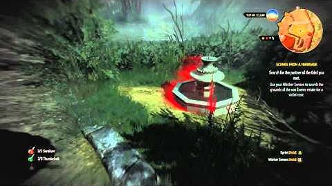 The Witcher 3 - Hearts Of Stone - Part 19: Von Everic House