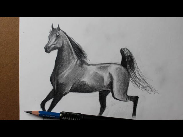 Como desenhar um Cavalo Árabe 