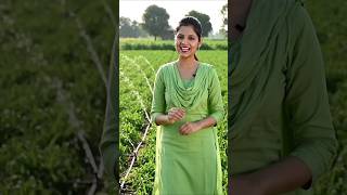 New Farming Technique Ideas || #youtubeshorts #ai #ai #farming #farming #harvest #youtubealternative
