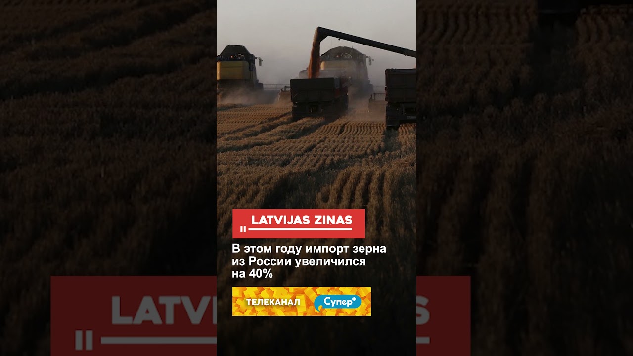 В этом году импорт зерна из России увеличился на 40%
