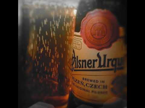 Beer Bier Piwo Pivo Cerveza Birra Biere