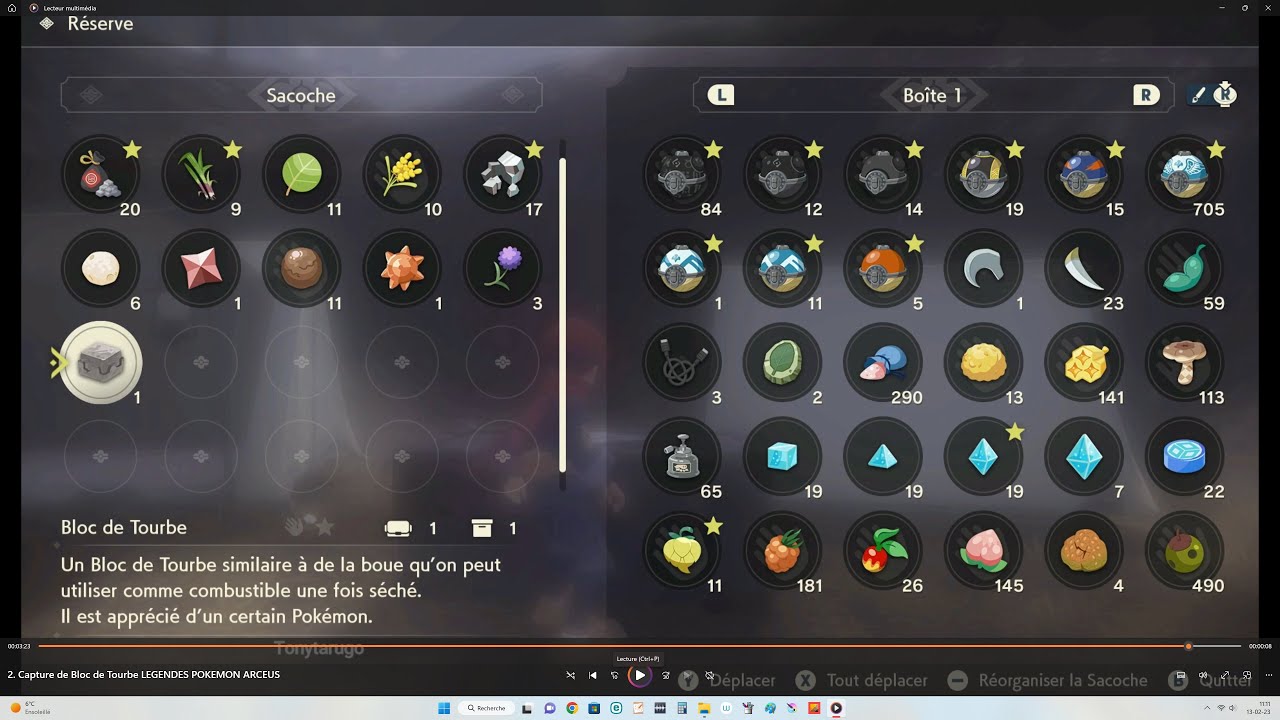 Capture de Bloc de Tourbe LEGENDES POKEMON ARCEUS