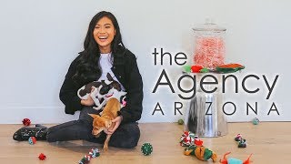 Models Puppies Holiday Video