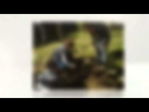 პატარა არქეოლოგები