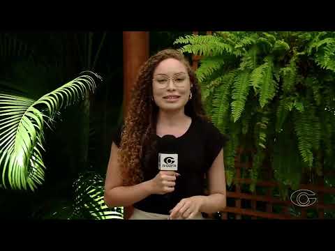 Traipu empata com Atlético-PI na decisão do Brasileiro de Futsal - 24/11/25