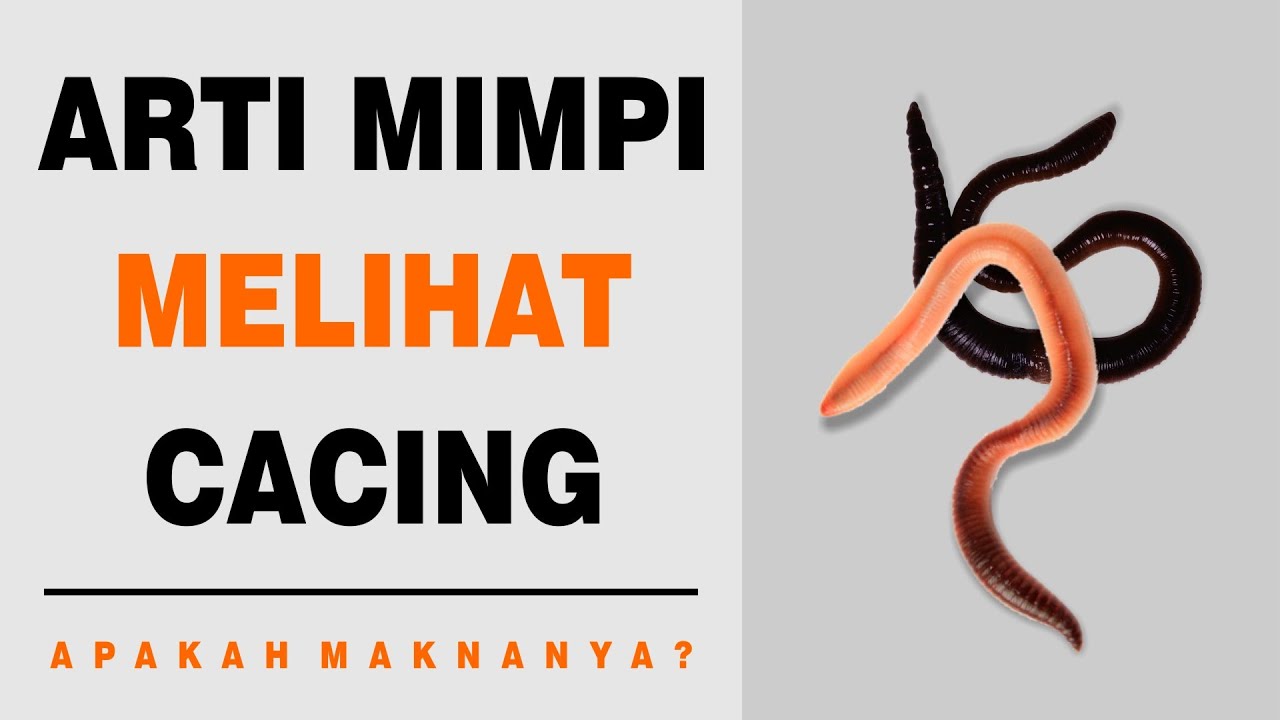 Arti Mimpi Melihat Cacing YouTube