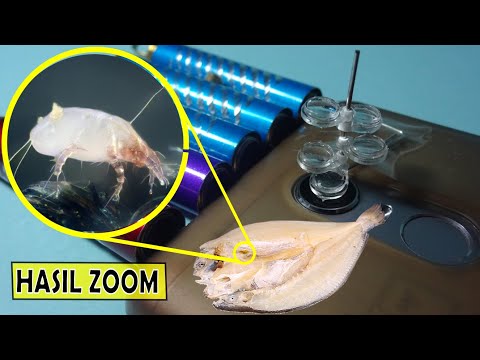 KAMERA HP YANG BISA MELIHAT BAKTERI