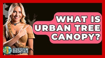 What Is Urban Tree Canopy? - Ecosystem Essentials