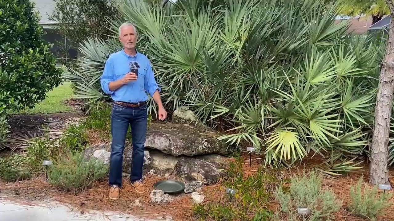 Поговорим о садоводстве! Неприхотливые местные растения для ландшафтного дизайна приусадебных уча...