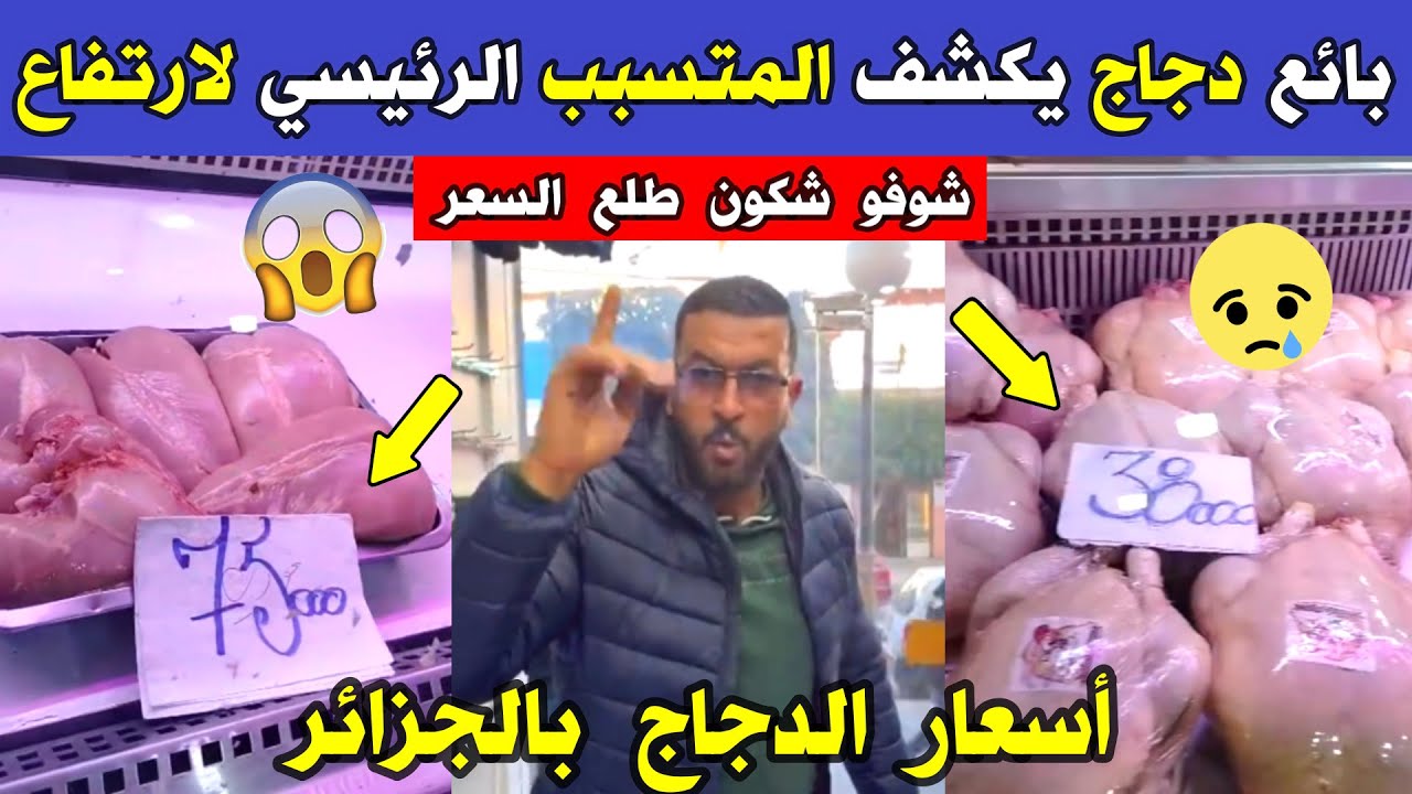 الجزائر 😱 شاهد بائع دجاج يكشف المتسبب الرئيسي لارتفاع أسعار الدجاج بالجزائر هده الأيام قبل شهر رمضان