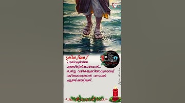 The Saviour Arrives/ Advent Thoughts/ Day 16/ Fr. Sojan Alackal