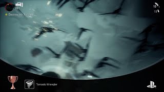 Tornado Wrangler