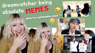 [REACTION] introducing dreamcatcher being absolute memes - THEYRE SO CHAOTIC