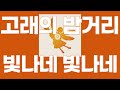 빛나네 빛나네(ひかるひかる) / 고래의 밤거리(クジラ夜の街) [가사/발음]