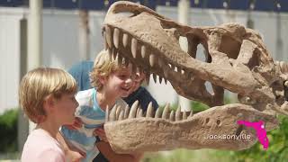 Florida Cruise Ports - JAXPORT: Stay Longer, Do More | Jacksonville