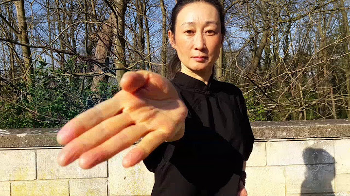 Ba duan jin (huit pièces de brocart)