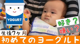 初めてのヨーグルト Youtube