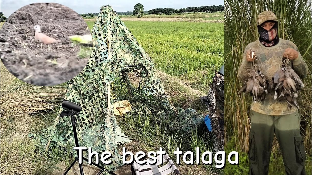 Airgun Hunting PH ep:45