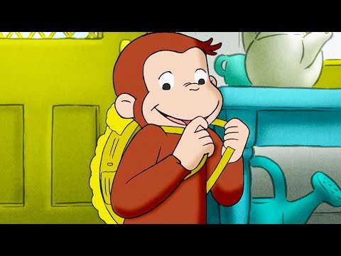 Curious George 🐵Guest