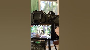 BEST Panasonic GH5 Hack Ever! 😍 #shorts #gh5