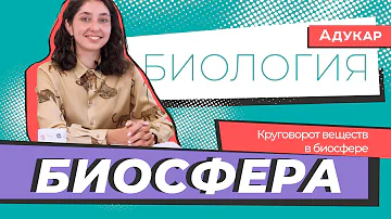 Биосфера. Круговорот веществ в биосфере | Биология ЕГЭ, ЦТ