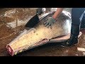 200kg黑鮪魚切割藝術 (Giant Bluefin Tuna Cutting Skill - Taiwanese Food)