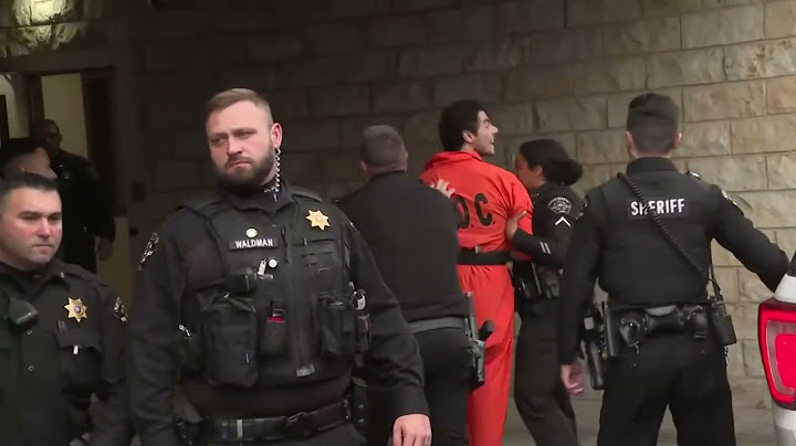 Luigi Mangione, suspected CEO shooter, yells 'insult to the intelligence' of American experience
