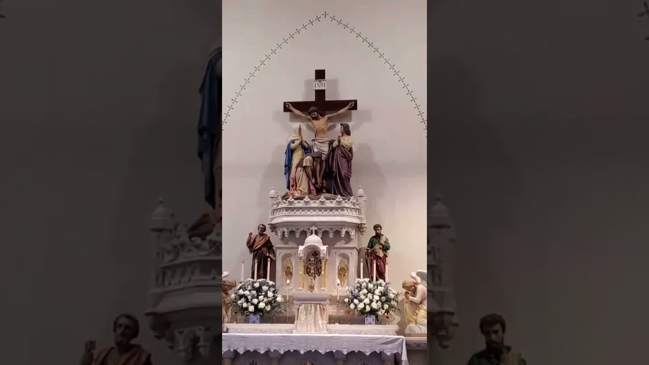 Salve Jesu Pater Mei