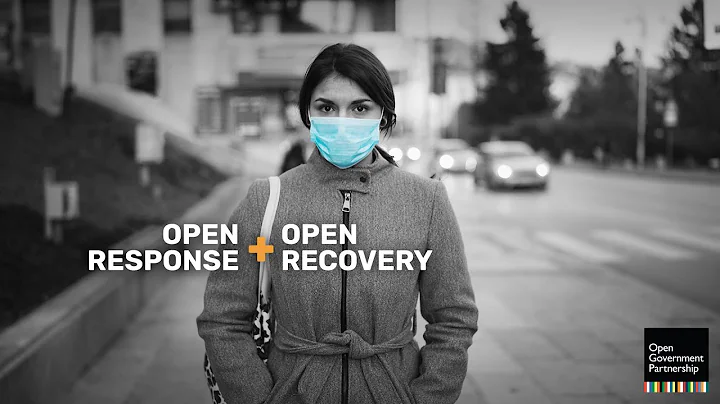 Open Response + Open Recovery: How to Respond to COVID-19 through Open Gov (English translation)