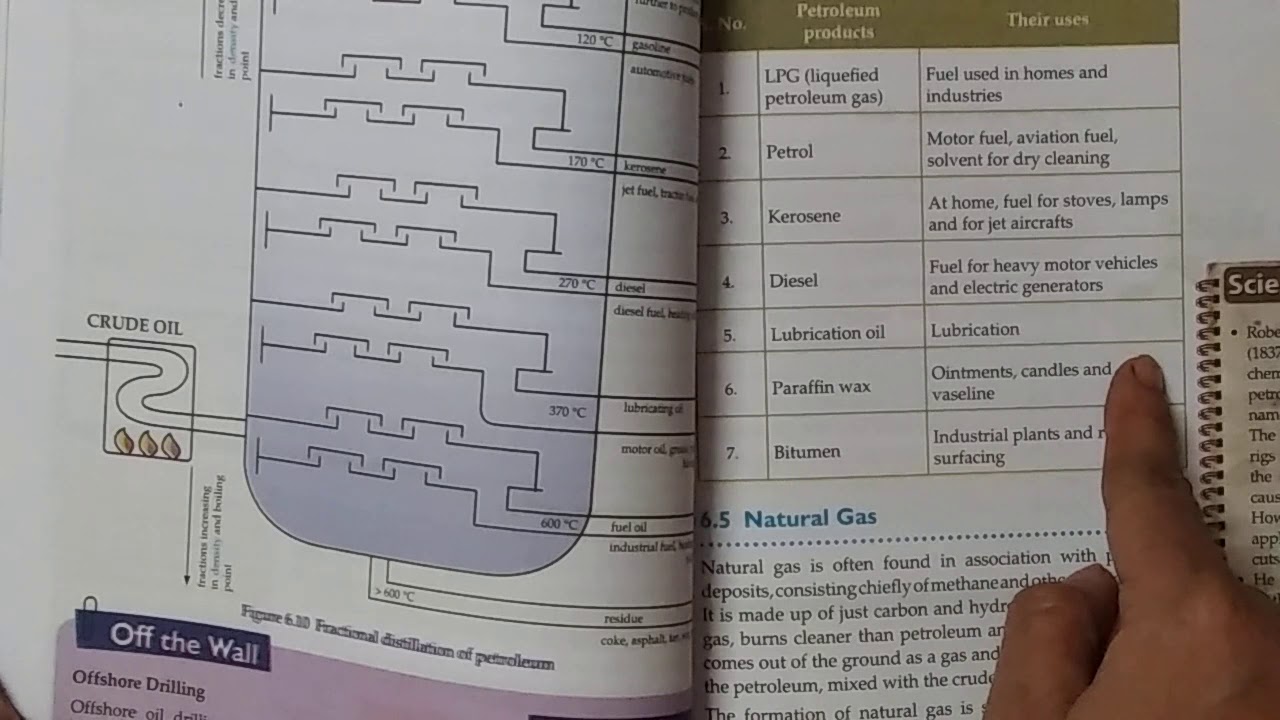 class 8th chapter 6 part 3rd - YouTube