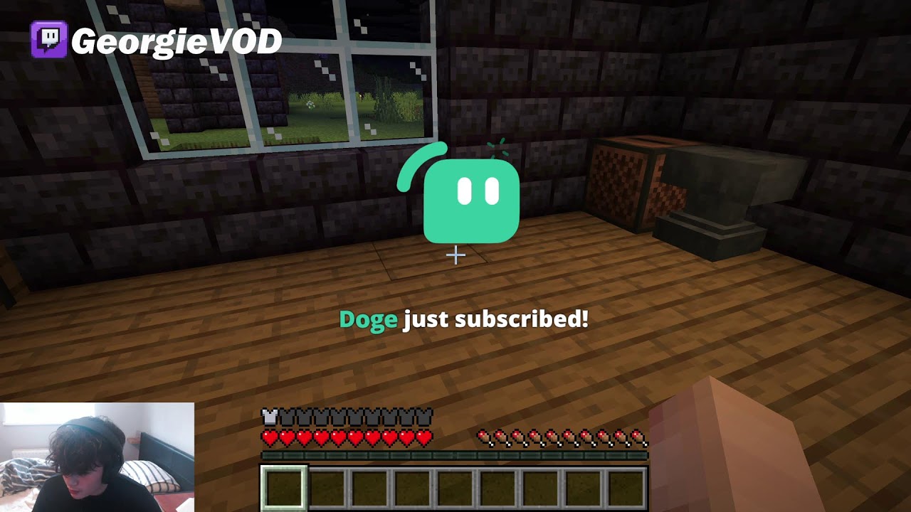 Minecraft Survival no10