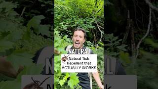 Afraid of ticks? Use this natural repellent