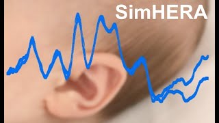 SimHERA Tutorial Lab 2 Wealth