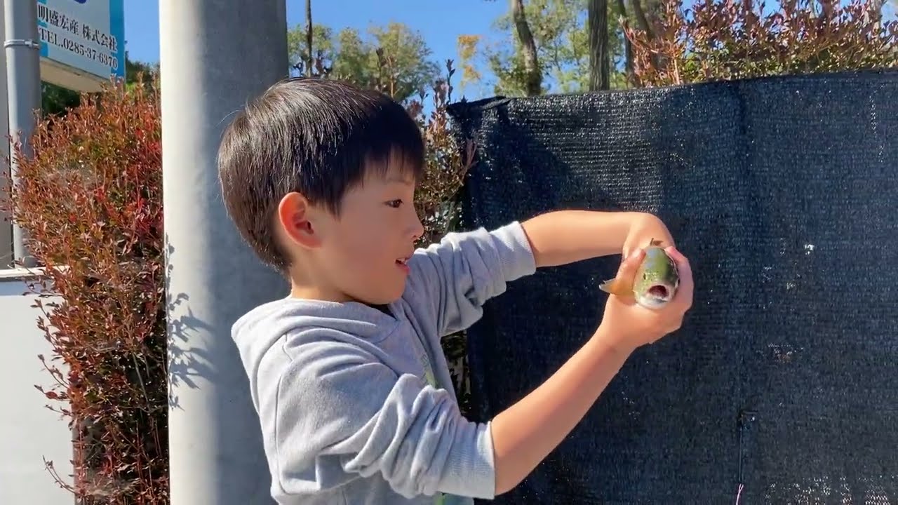 小山ウォーターパークに行ってきました！