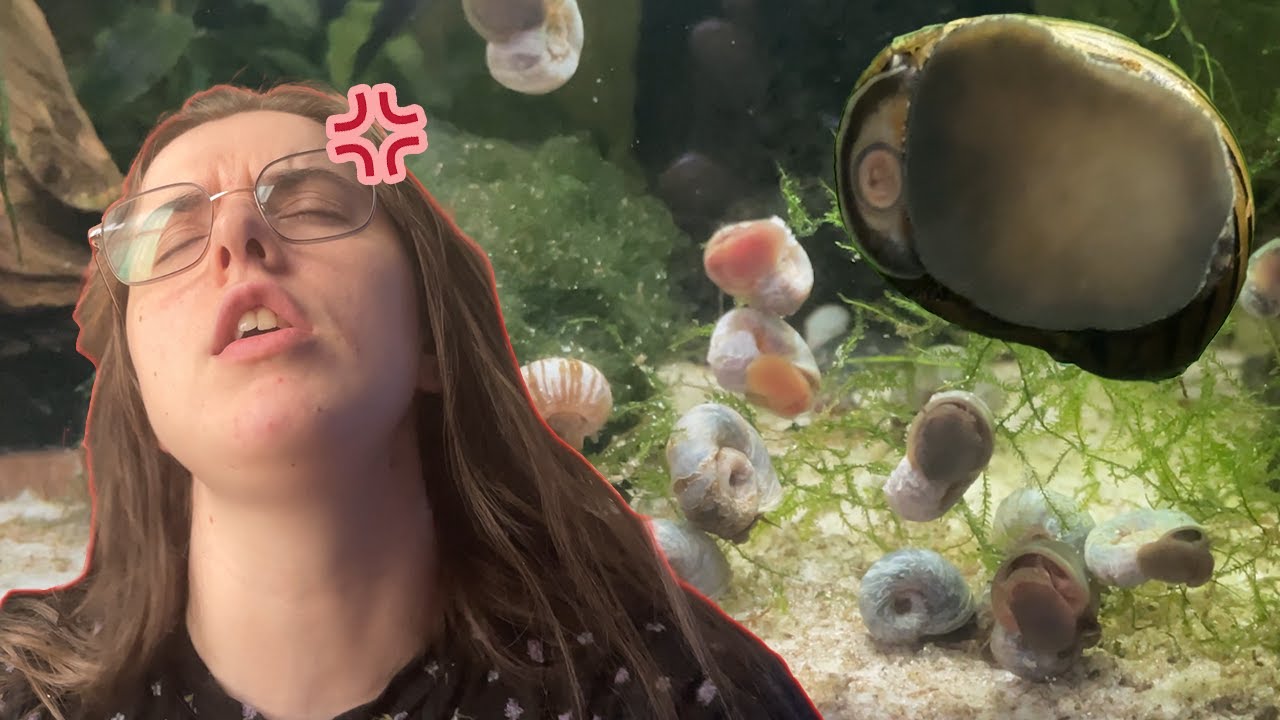 Je voulais parler des escargots mais j'ai dérapé... 😅