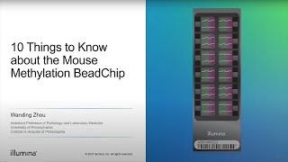 10 Things to Know about the Infinium™ Mouse Methylation BeadChip