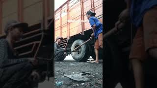 story wa truk hidup ini mahal