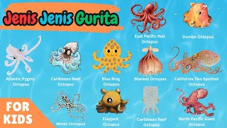 15 Unique and Cute Octopus Types | Learn Octopus Names for Kids