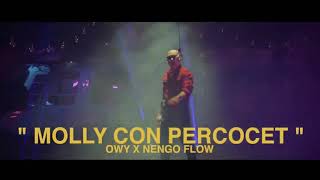 Molly Con Percocet - Owy ❌ Ñengo Flow (Video Oficial)