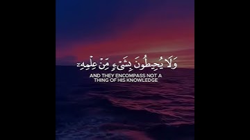 سورة الكرسي ❤#قرآن #اكسبلور #لايك #المصحف